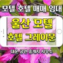 그레이문 호텔 이미지