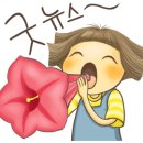 이땅애 축산물 판매장 이미지