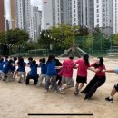 대선초교 이미지
