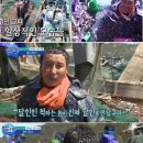 뱃고동 이미지