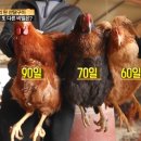 서민의닭 이미지
