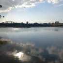 덕진 태양광발전소 이미지