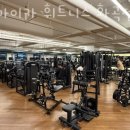 자마이카휘트니스 이미지