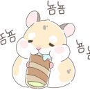 설가네촌돼지 이미지