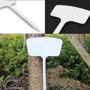 딸기마을 이미지