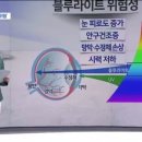 으뜸플러스안경 시흥배곧점 이미지