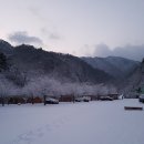 카페자작나무(cafe자작나무)
