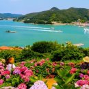 꽃내음가득 이미지