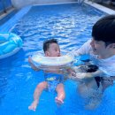 바바랩 | 바바랩 수영장 기저귀 방수기저귀 아기수영장 기저귀 아기수영기저귀 물놀이 방수 기저귀