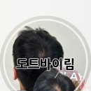 도트바이림 이미지