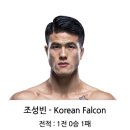 UFC 진출한 한국선수들 커리어 이미지