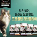 클리어동물병원 이미지