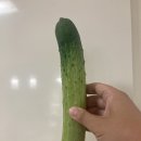 빈이네야채과일