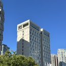 트리플피트니스 | 대전 숙박 추천 '롯데시티호텔 대전 디럭스 트리플 리버뷰' 룸 후기(입실지연보상, 피트니스) 내돈내산