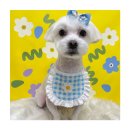 멍앤리치 이미지