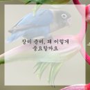 정도렌탈