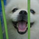 제주특별자치도 동물위생시험소 (동물보호센터) 동물병원 이미지