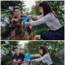 법인행복한농장 | 유엄빠 유기견 봉사활동 후기 (기아 CSR 프로젝트, SBW)