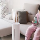 메이드지 이미지