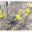 서구-01-01 이미지