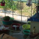 장구농장 이미지