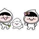 댕댕하개