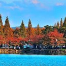 우로지 자연숲 공원(메타세쿼이아길) 이미지