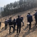 소나무인쇄 이미지