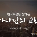 (주)빛과번쩍 네이버블로그