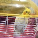 비원지구대 앞 이미지