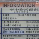 정자굿모닝약국 | 임신 준비, 일산 마리아병원 첫 방문기