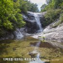 죽포(남) 이미지