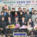 백사초교 이미지