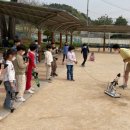 도궁초등학교 이미지