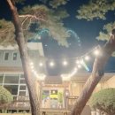 둥근상시골집 이미지