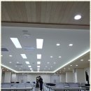 평택서비스 | 평택방역 평택 방역 서비스 후기: 차원이 다른 해충 관리