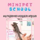 미니펫스쿨(Minipet School) 네이버블로그