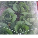 숲속이야기 이미지