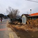 금광초등학교조령분교 이미지