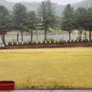 보랏빛산채마을 이미지