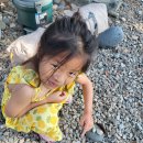 나로힐링캠핑장 | 고흥 나로힐링캠핑장 (파쇄석 8번 )