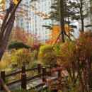 우미린아파트 앞 이미지