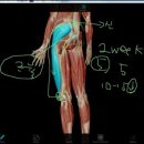 성모마취통증의학과의원 이미지