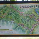 선암골생태유람길 이미지