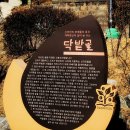 닥밭골 벽화마을 이미지