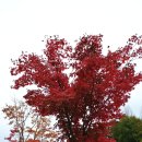 놀러와 놀이터 이미지