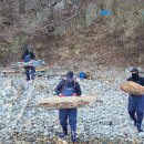 동구 대왕암공원 울산제일일보