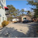 늘푸른꿈 이미지