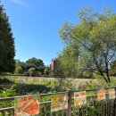 동막초등학교 이미지