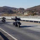 피닉스클럽 이미지